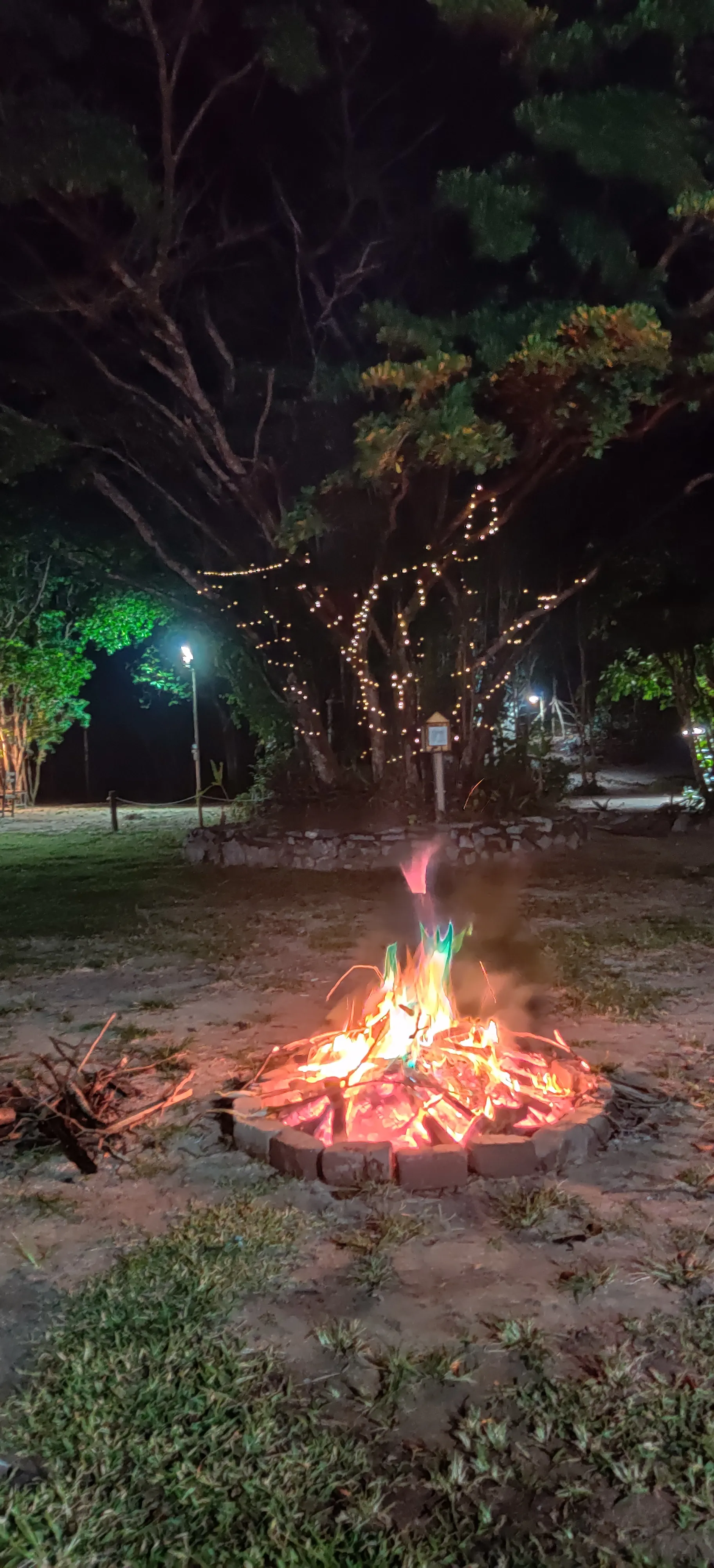 Experiência noturna no Iduna — foto 6